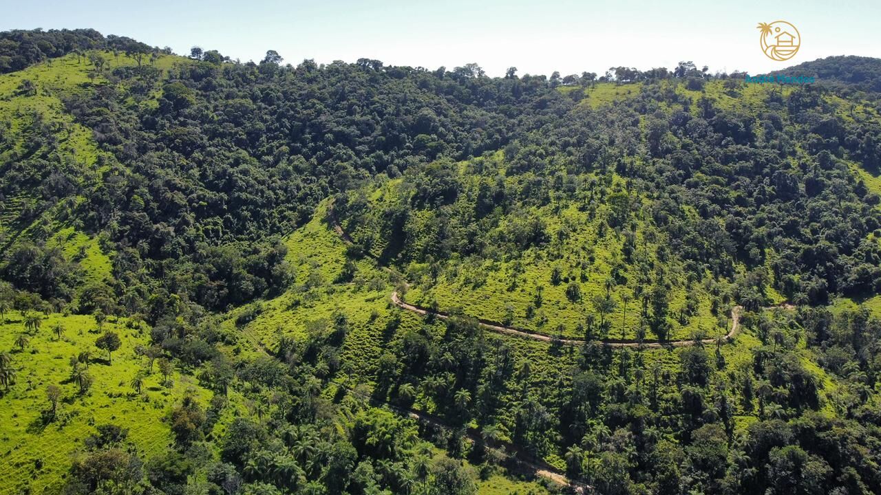 Fazenda, 40 hectares - Foto 9