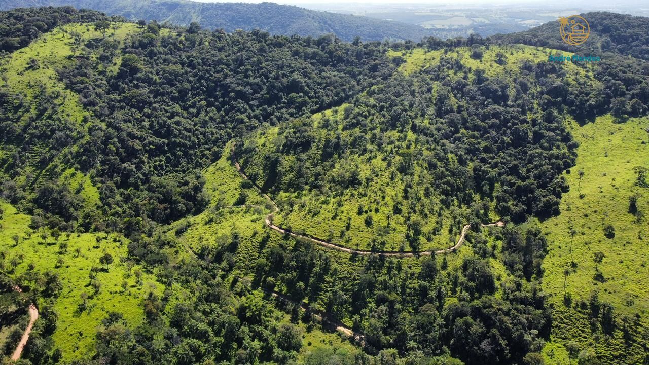 Fazenda, 40 hectares - Foto 11