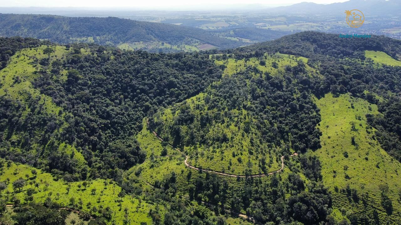 Fazenda, 40 hectares - Foto 6
