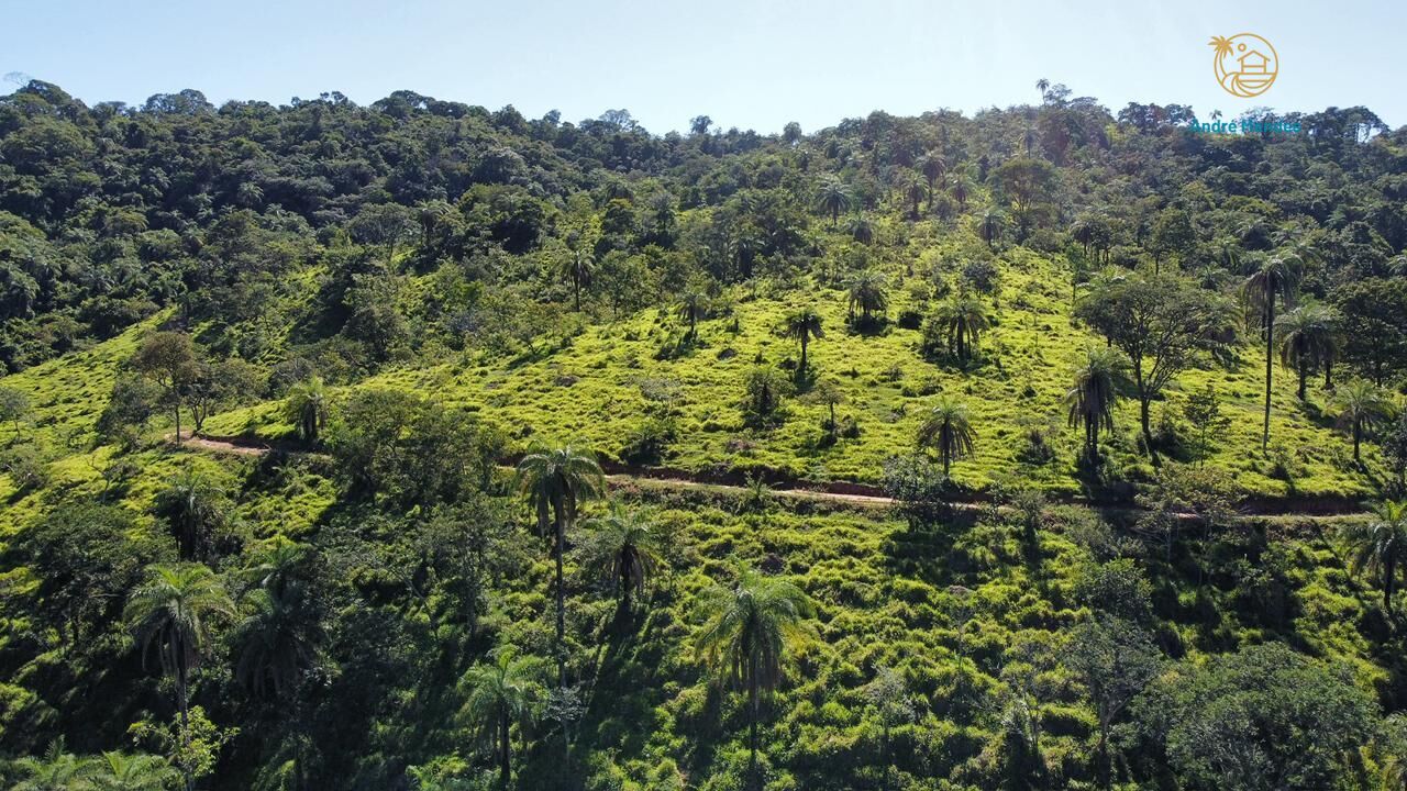 Fazenda, 40 hectares - Foto 4