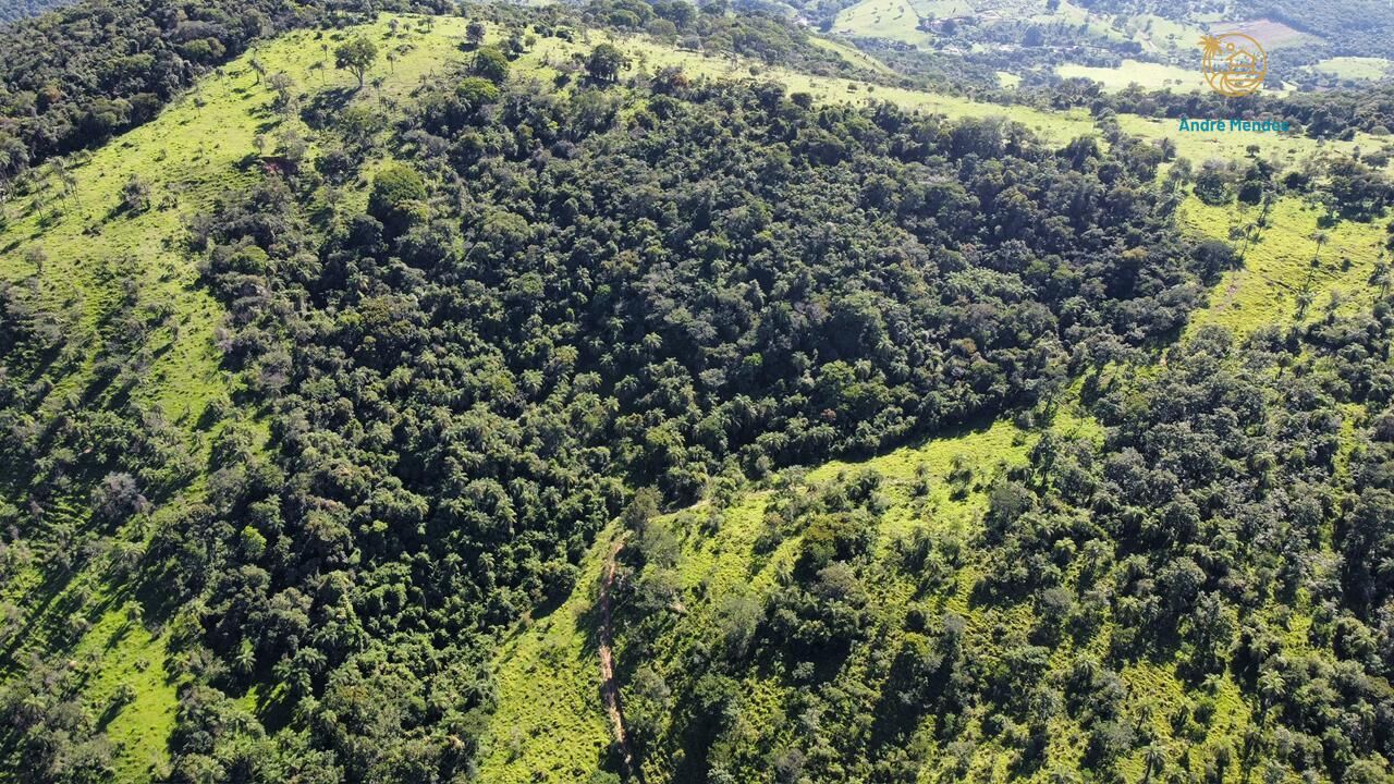 Fazenda, 40 hectares - Foto 12