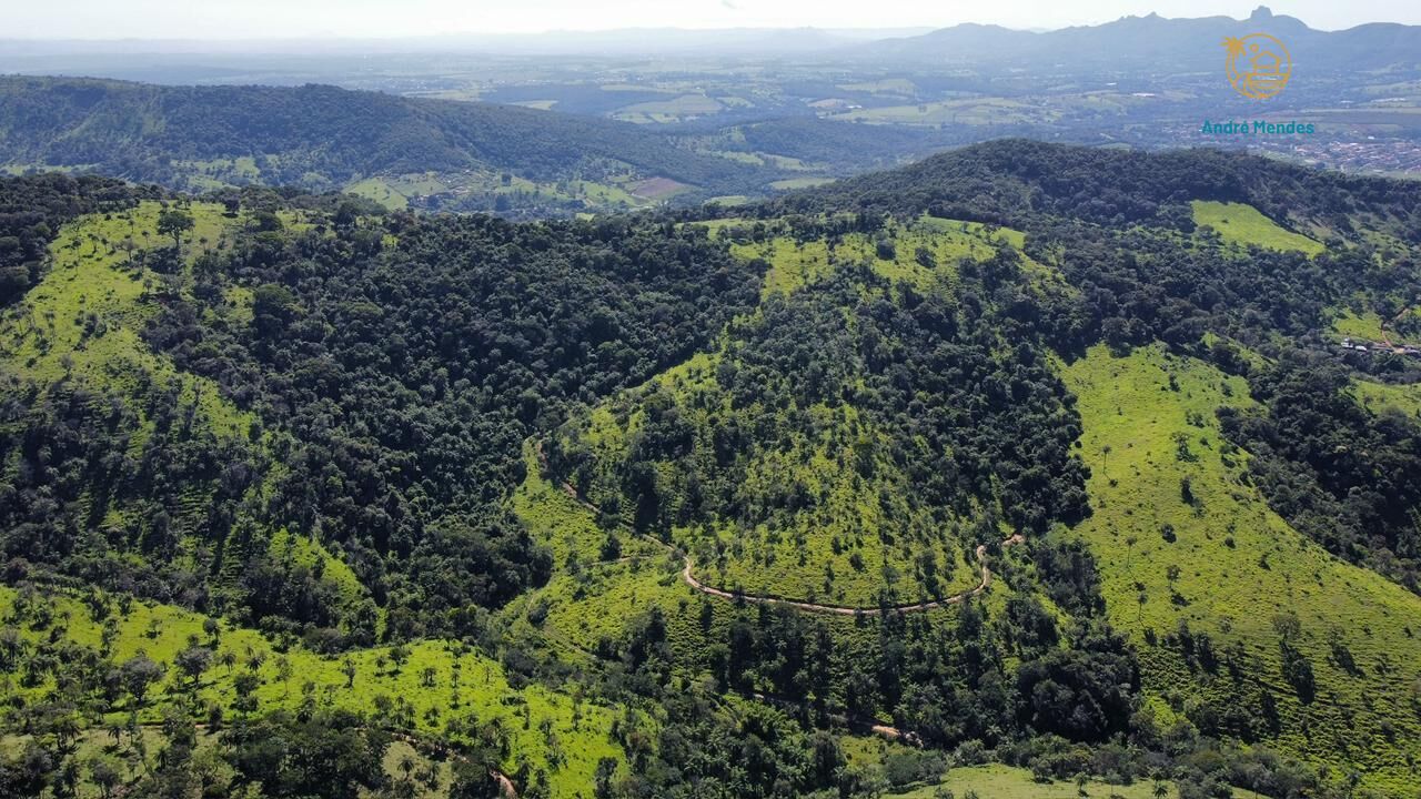 Fazenda, 40 hectares - Foto 10