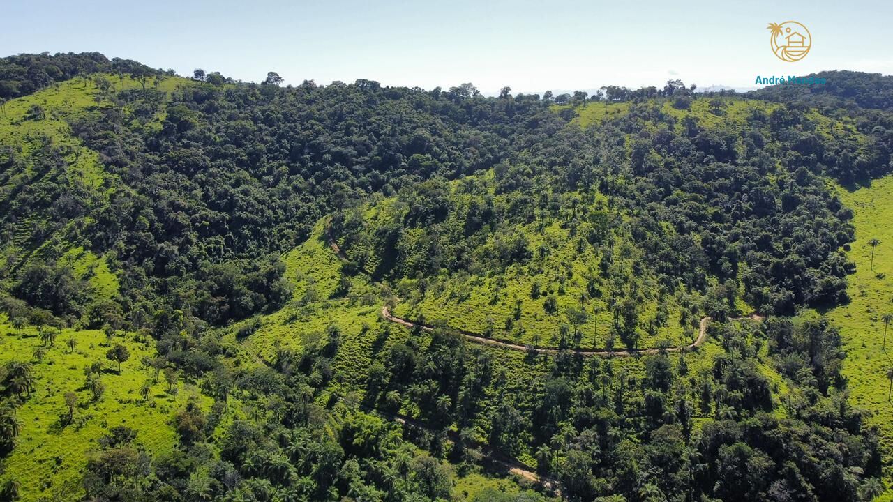 Fazenda, 40 hectares - Foto 8