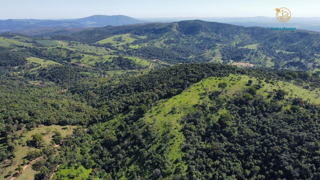 Fazenda, 40 hectares - Foto 14