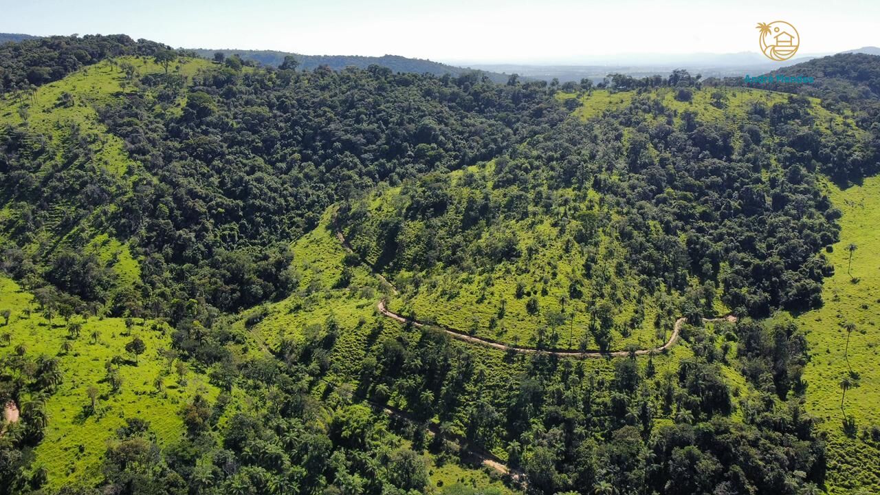 Fazenda, 40 hectares - Foto 16