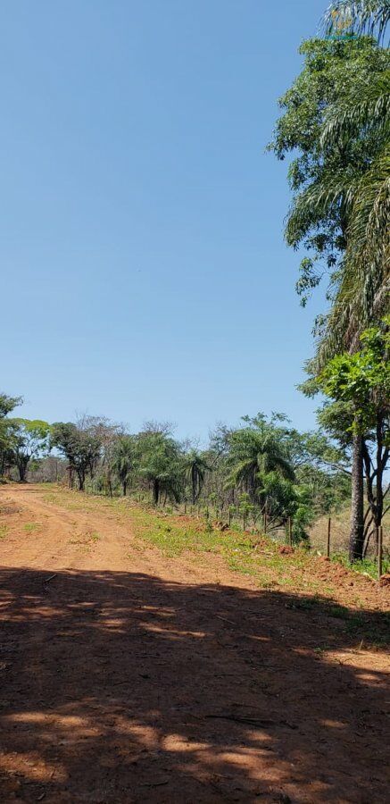 Fazenda, 3 hectares - Foto 7