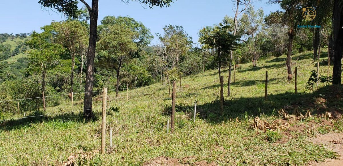 Fazenda, 3 hectares - Foto 3