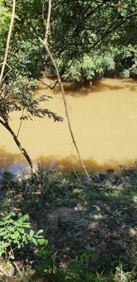 Fazenda, 3 hectares - Foto 9