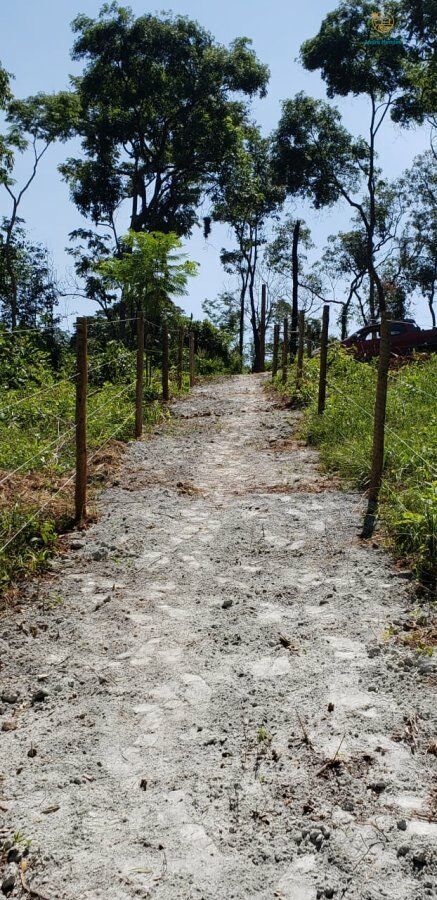 Fazenda, 3 hectares - Foto 2