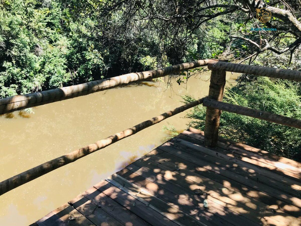 Fazenda, 3 hectares - Foto 8