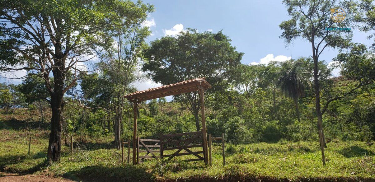 Fazenda, 3 hectares - Foto 5