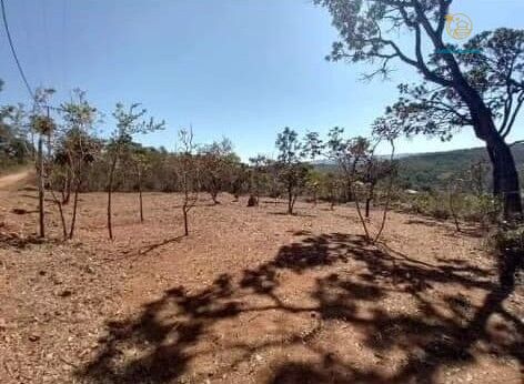 Terreno, 3000 m² - Foto 1