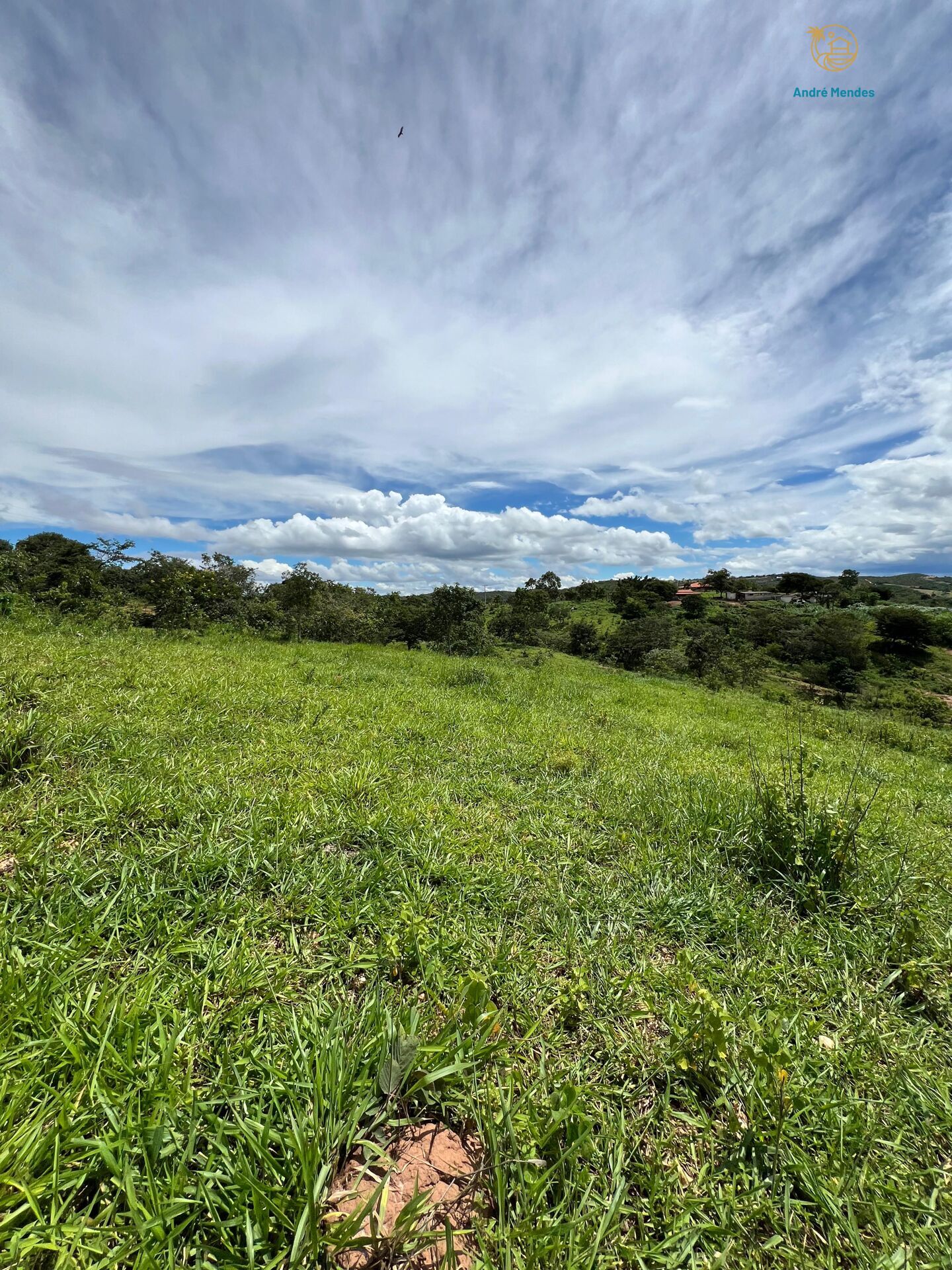 Terreno, 360 m² - Foto 11