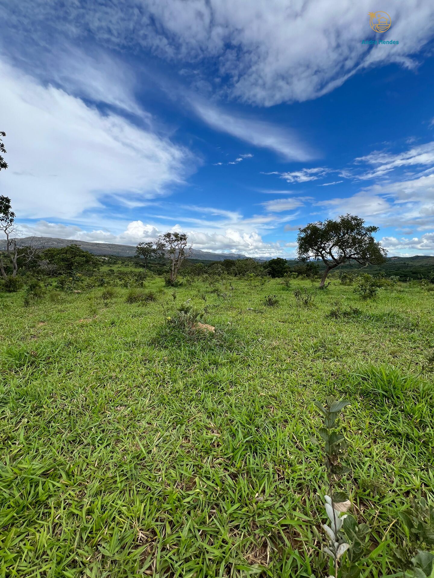 Terreno, 360 m² - Foto 9