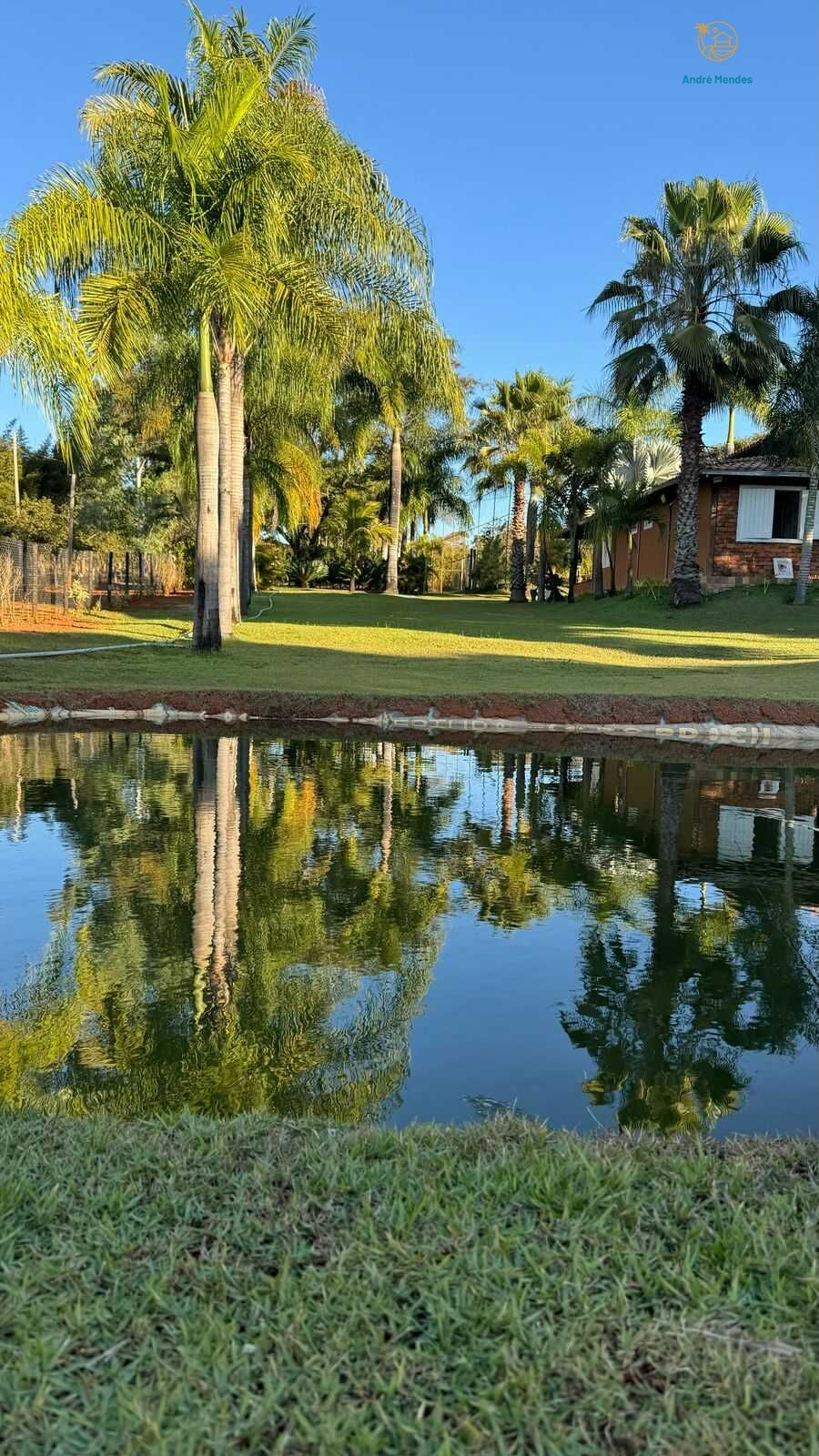 Sítio, 5 quartos, 13 hectares - Foto 8