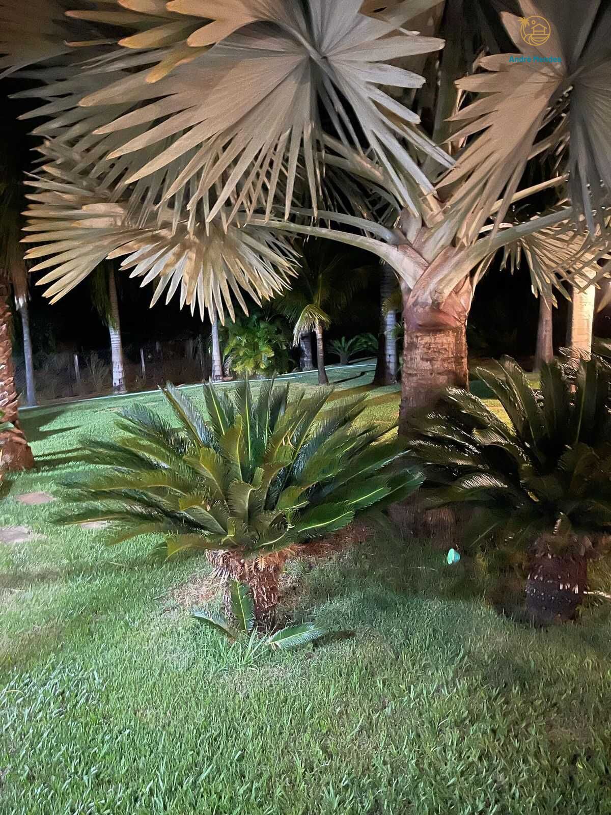 Sítio, 5 quartos, 13 hectares - Foto 6