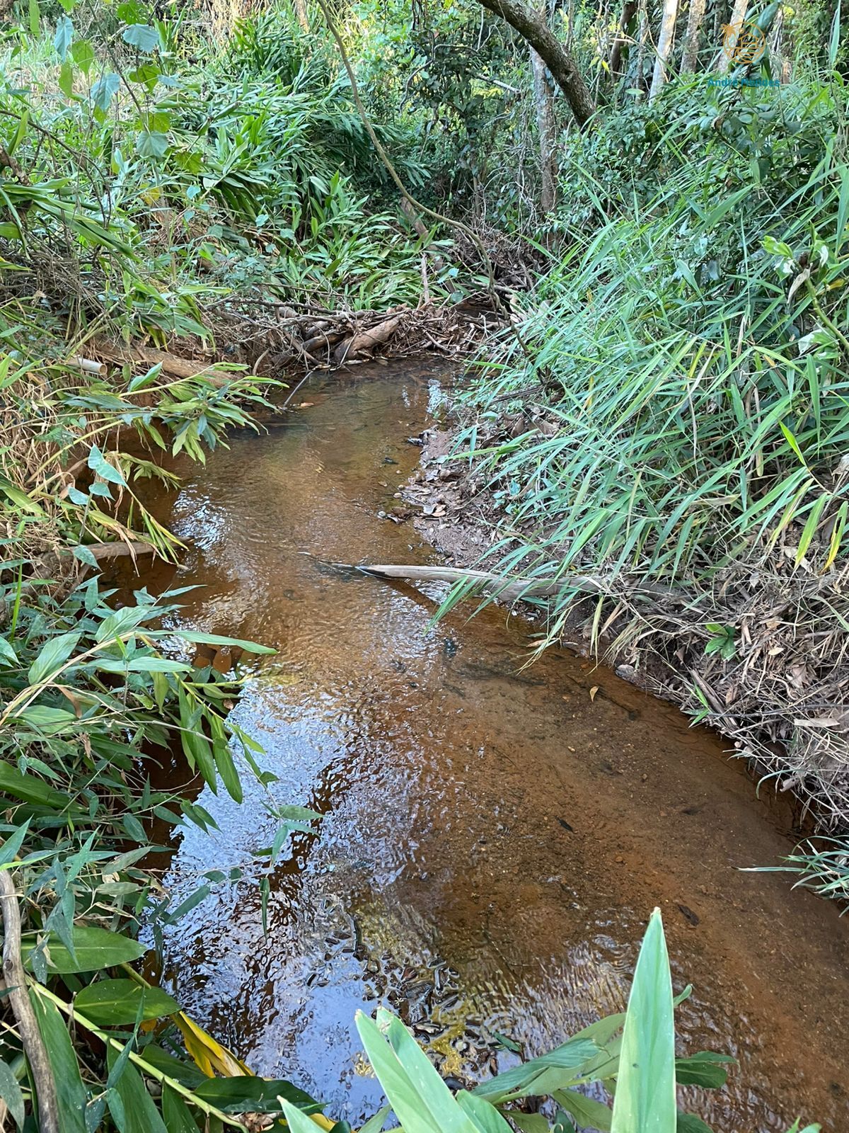 🌿 Chácara à Venda em Mateus Leme/MG 🌿