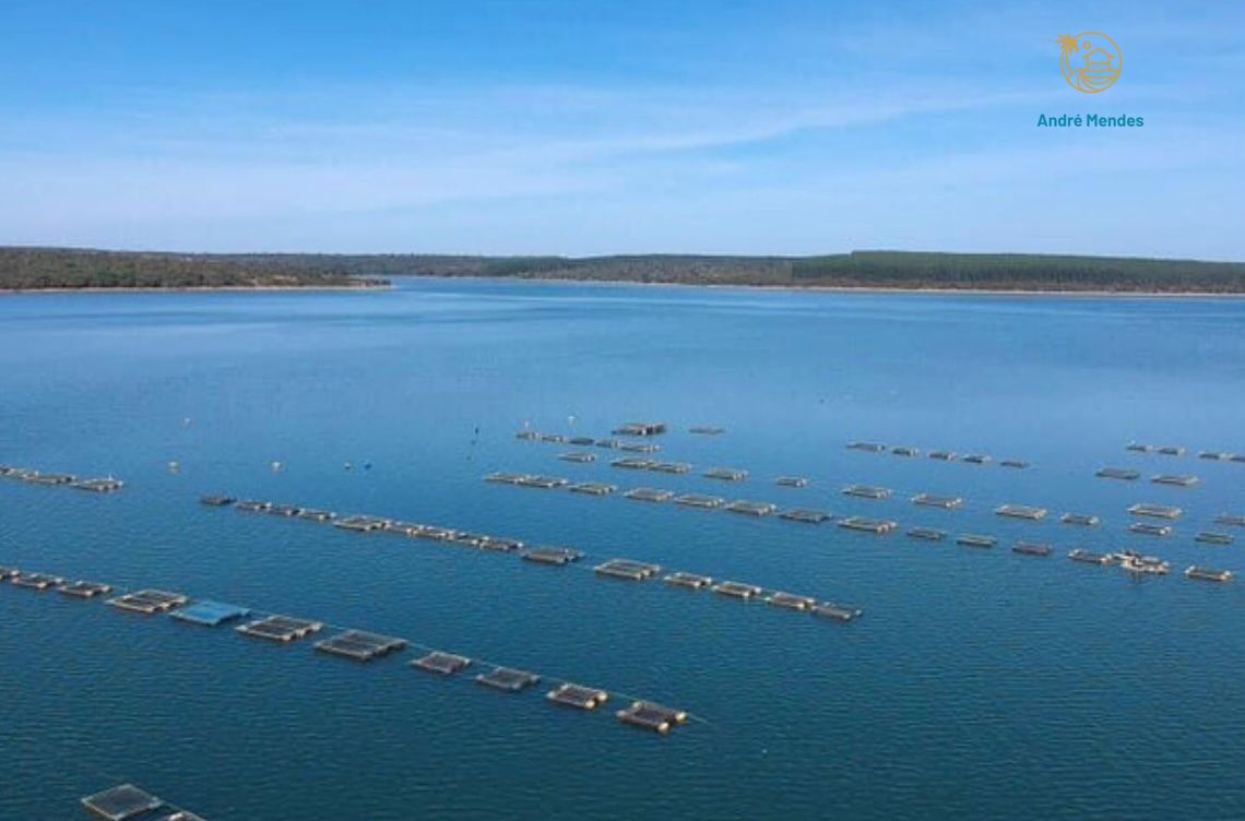 Terreno, 360 m² - Foto 8