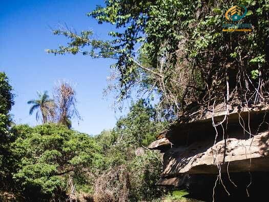 Fazenda à venda, 20000m² - Foto 10