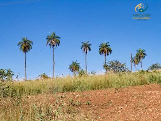 Fazenda à venda, 20000m² - Foto 7