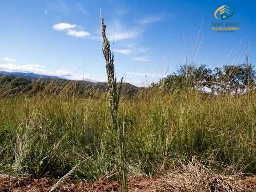 Fazenda à venda, 20000m² - Foto 18