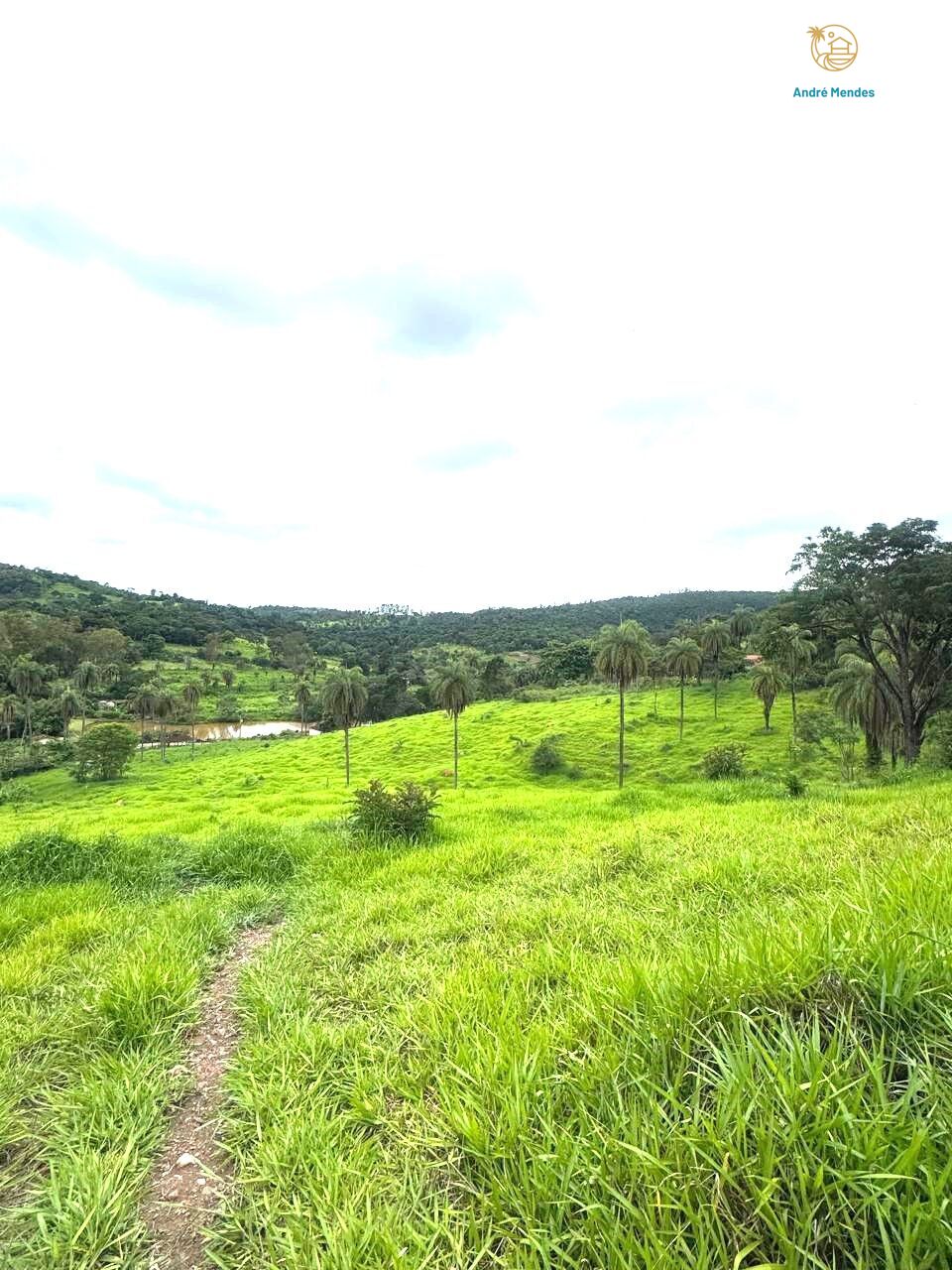 Chácara à venda, 5000m² - Foto 2
