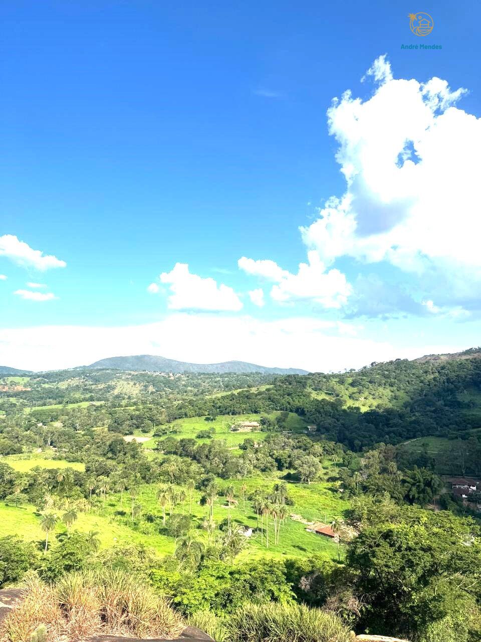 Chácara à venda, 5000m² - Foto 4