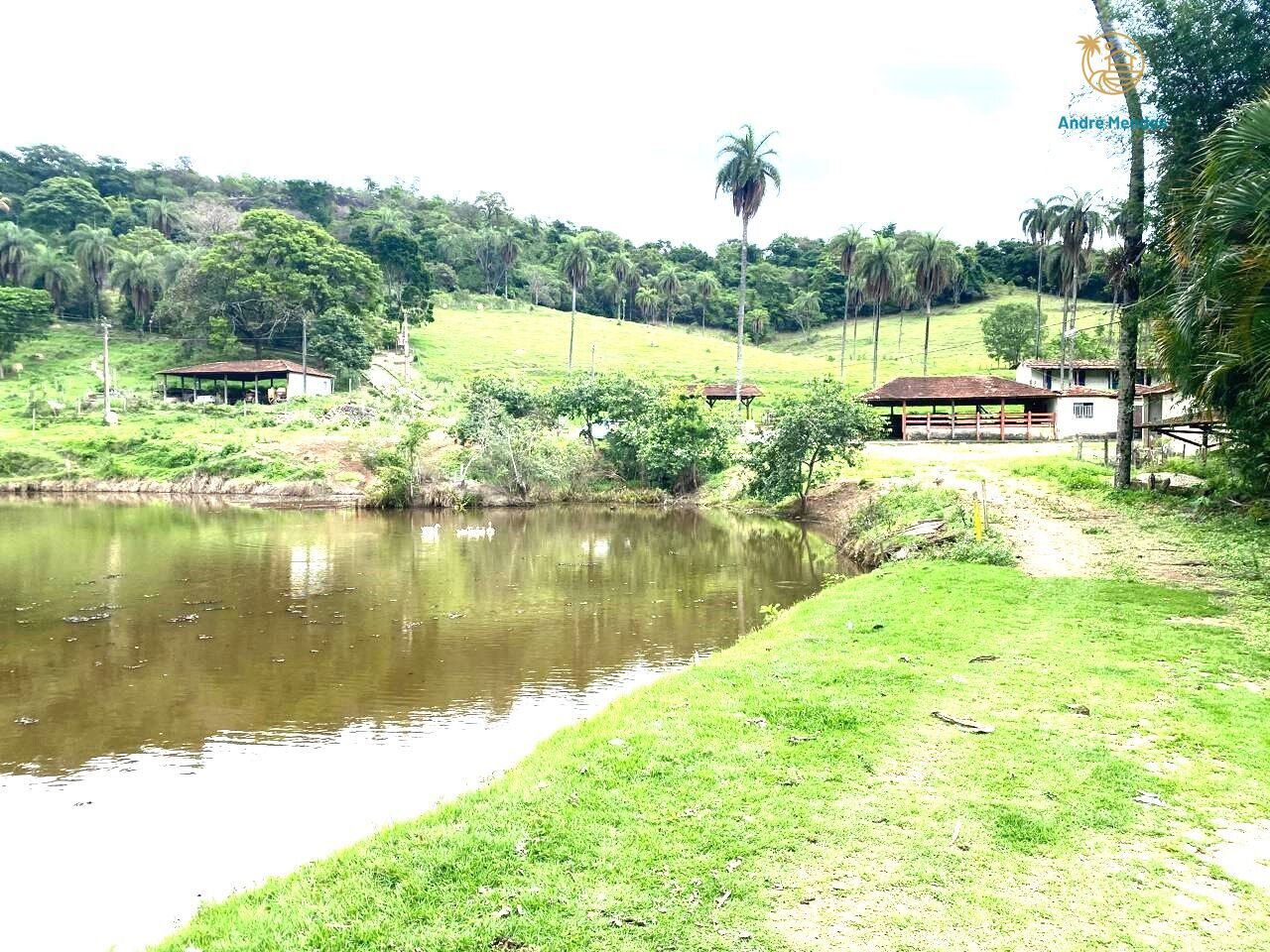 Chácara à venda com 3 quartos, 25000m² - Foto 9