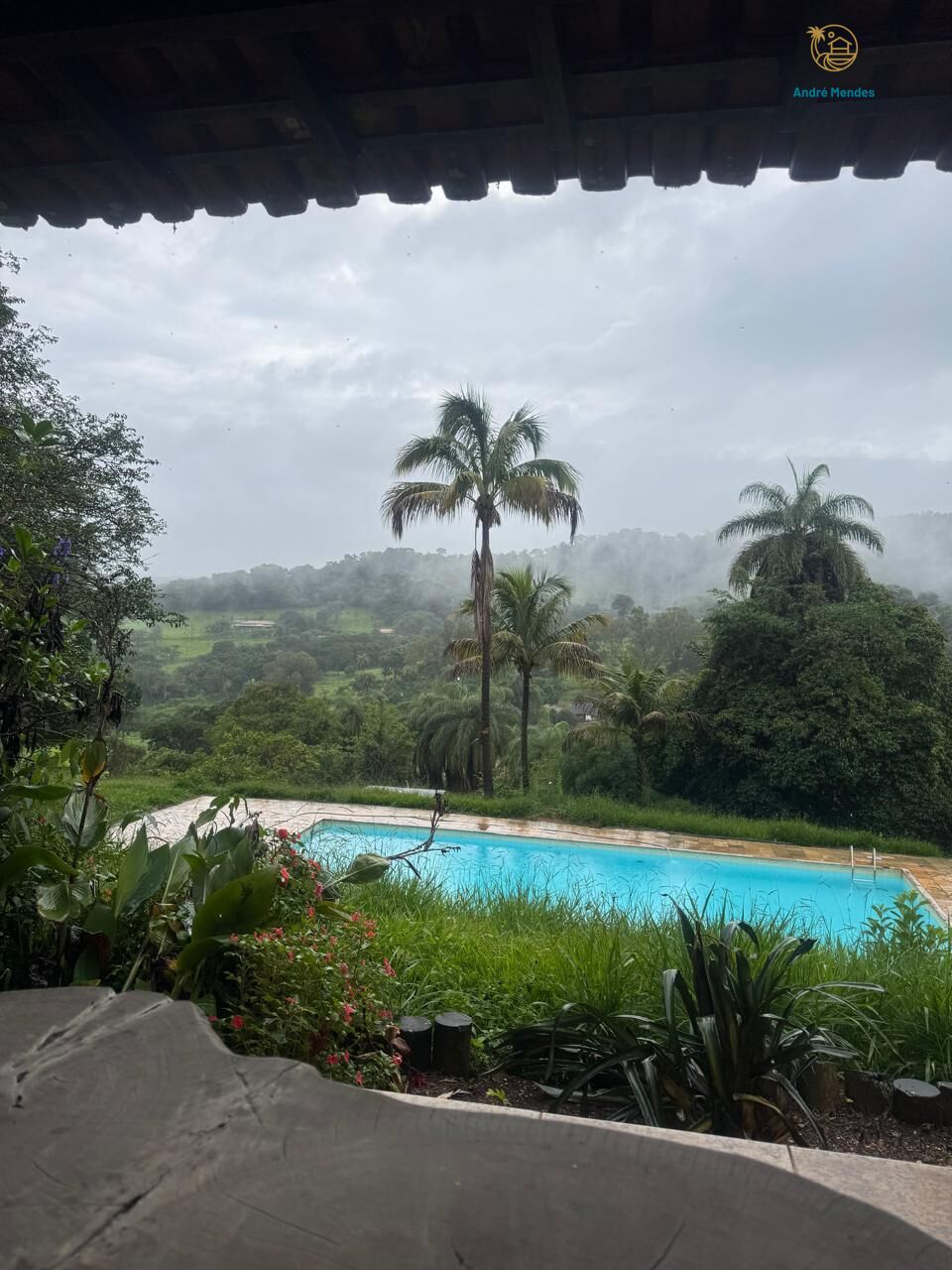 Chácara à venda com 3 quartos, 25000m² - Foto 18