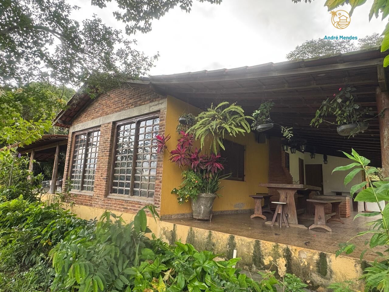 Chácara à venda com 3 quartos, 25000m² - Foto 2