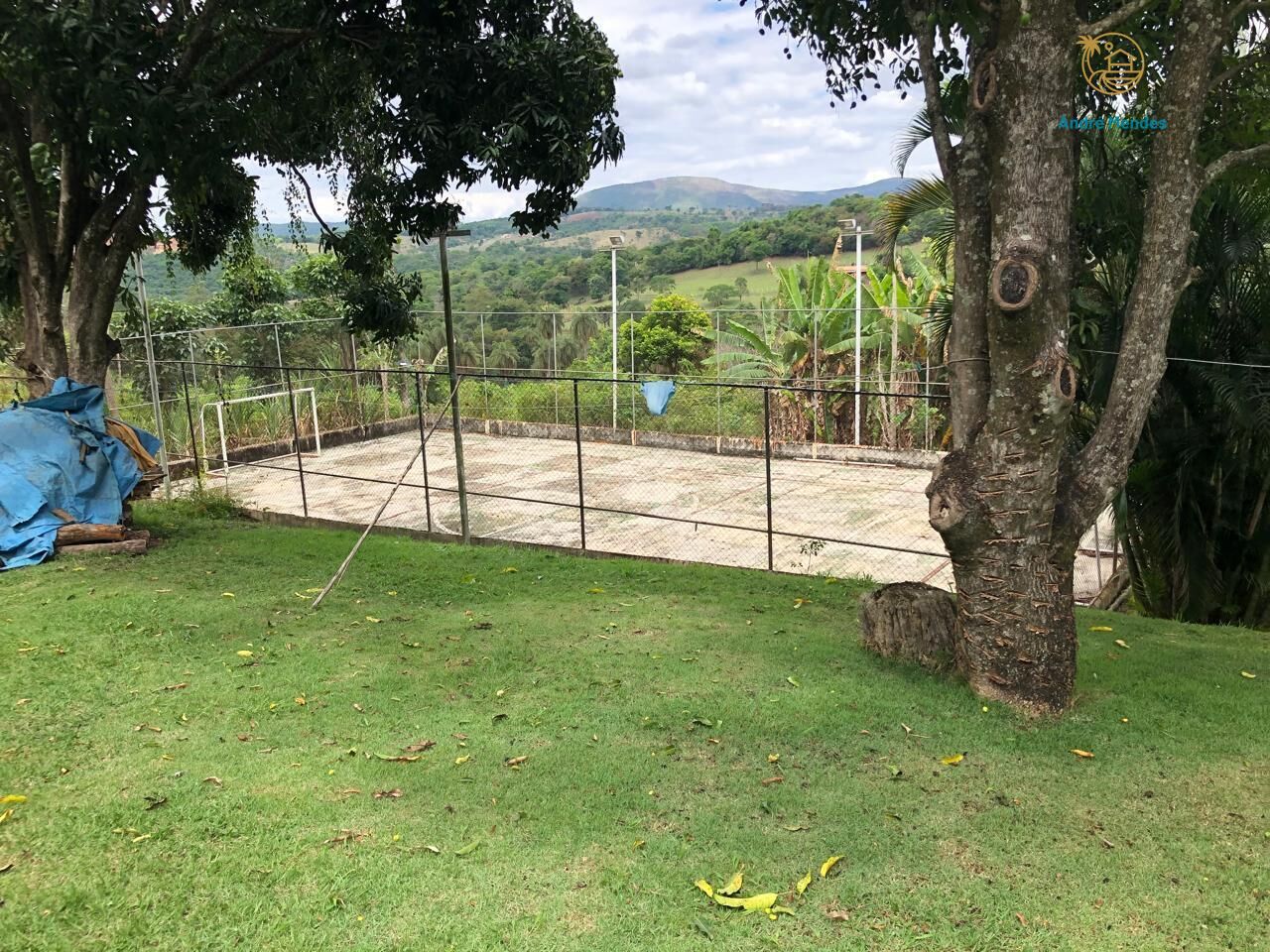 Chácara à venda com 3 quartos, 25000m² - Foto 5