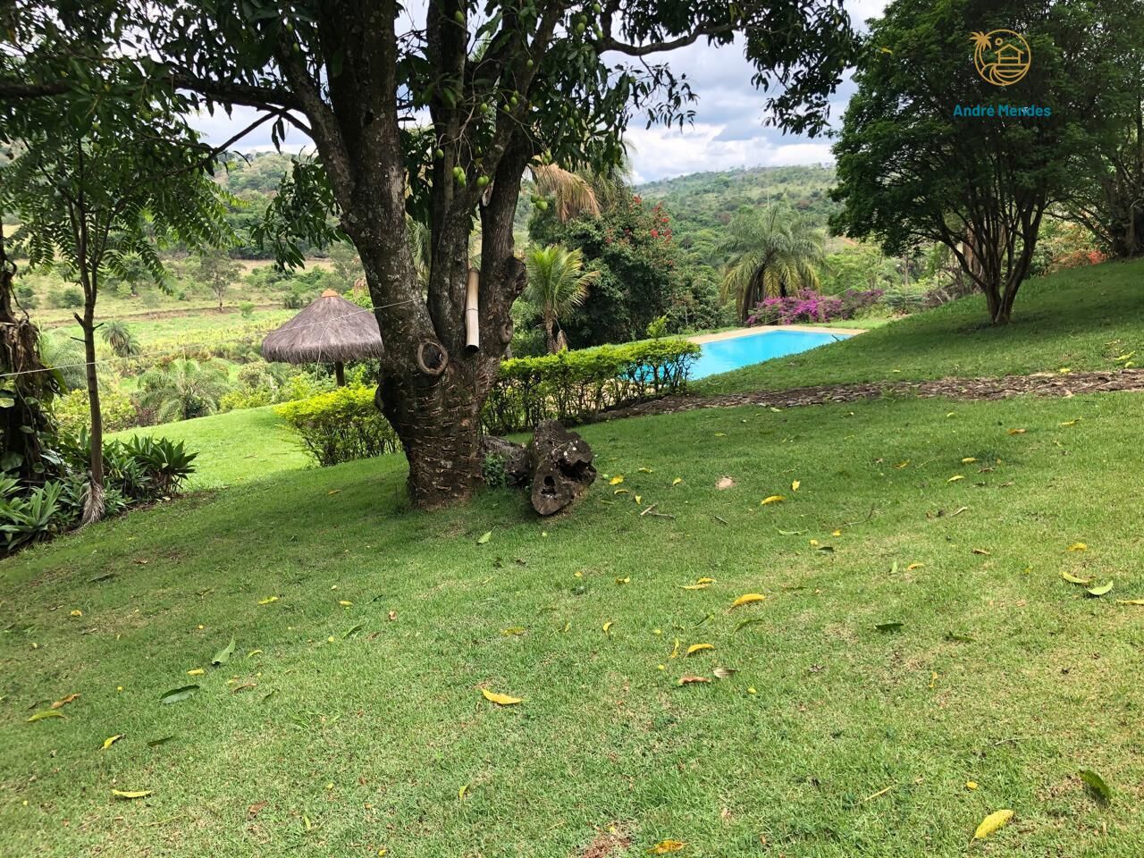 Chácara à venda com 3 quartos, 25000m² - Foto 3