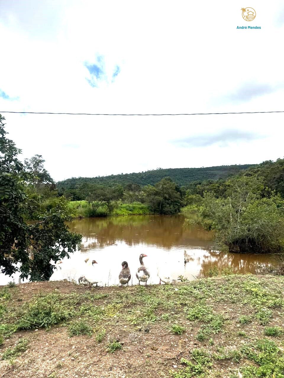 Chácara à venda com 3 quartos, 25000m² - Foto 11
