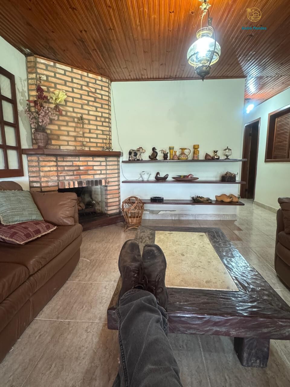 Chácara à venda com 3 quartos, 25000m² - Foto 16