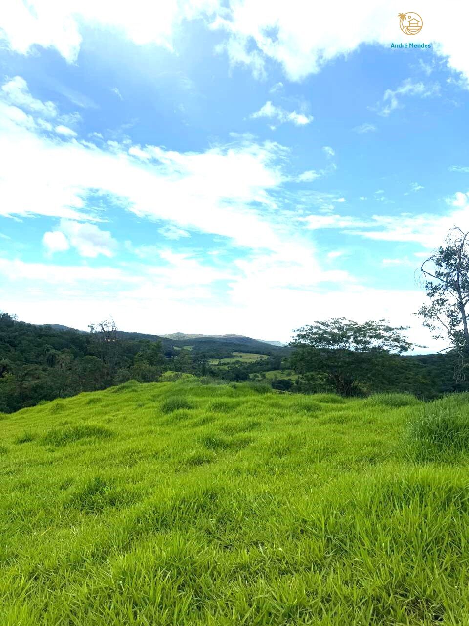 Chácara à venda com 3 quartos, 25000m² - Foto 7