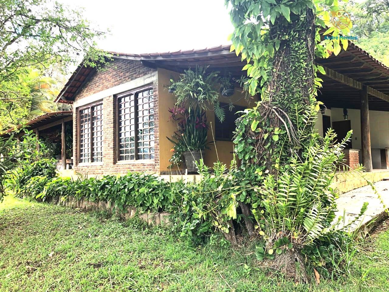 Chácara à venda com 3 quartos, 25000m² - Foto 13
