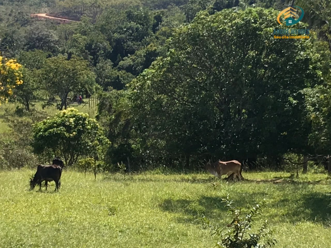 Fazenda à venda, 20000m² - Foto 17