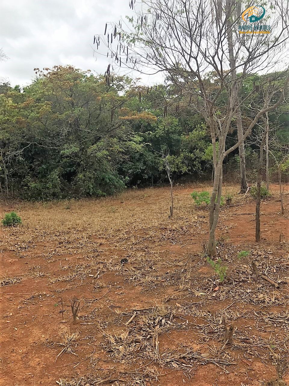 Fazenda à venda, 20000m² - Foto 18