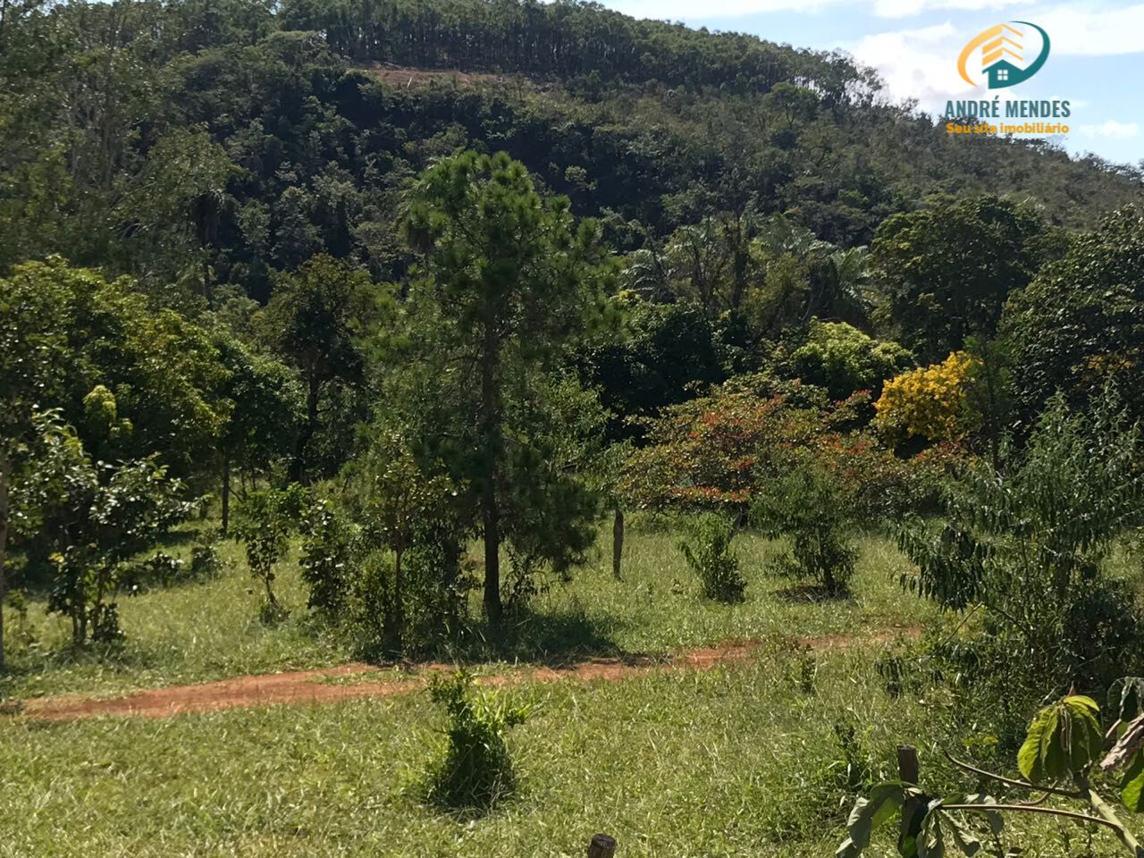 Fazenda à venda, 20000m² - Foto 25