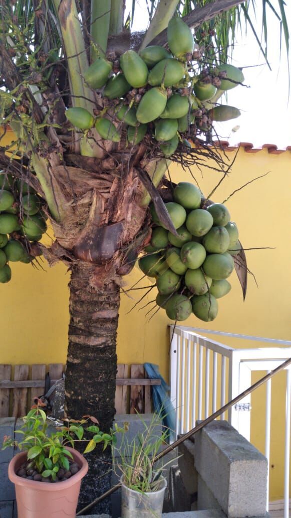 Sobrado à venda com 3 quartos, 220m² - Foto 39