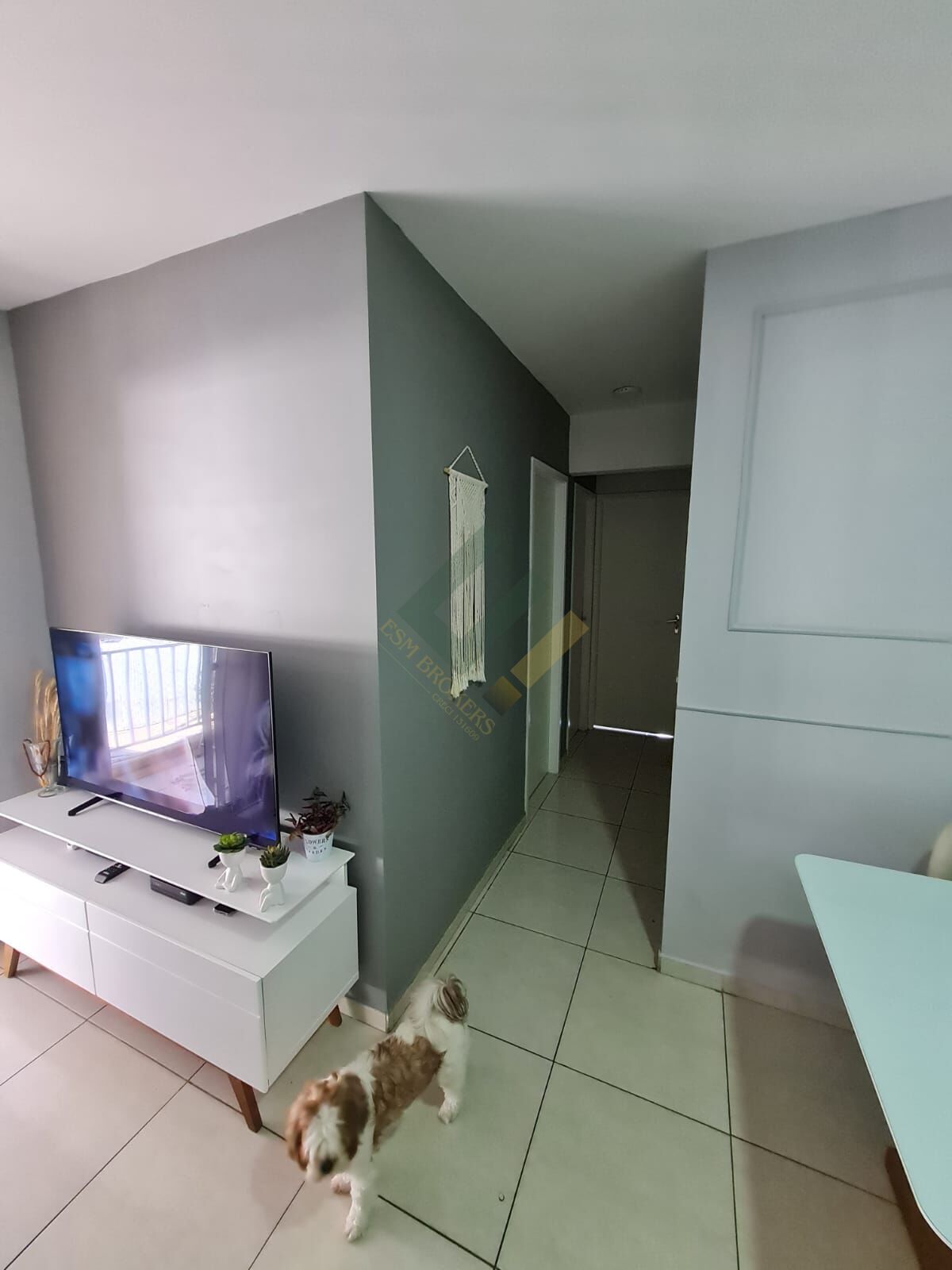 Apartamento à venda com 3 quartos, 70m² - Foto 1