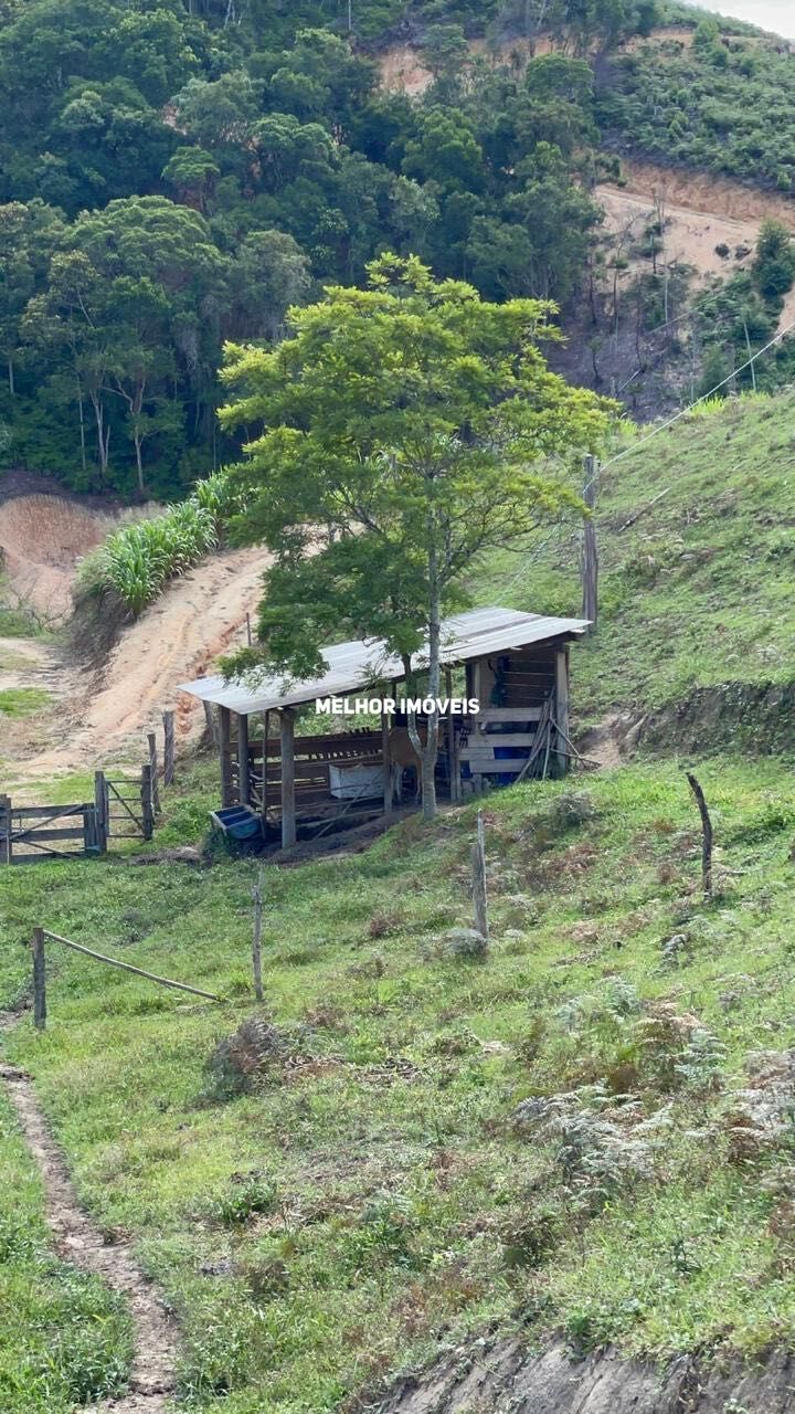 Fazenda à venda com 2 quartos, 30000m² - Foto 24