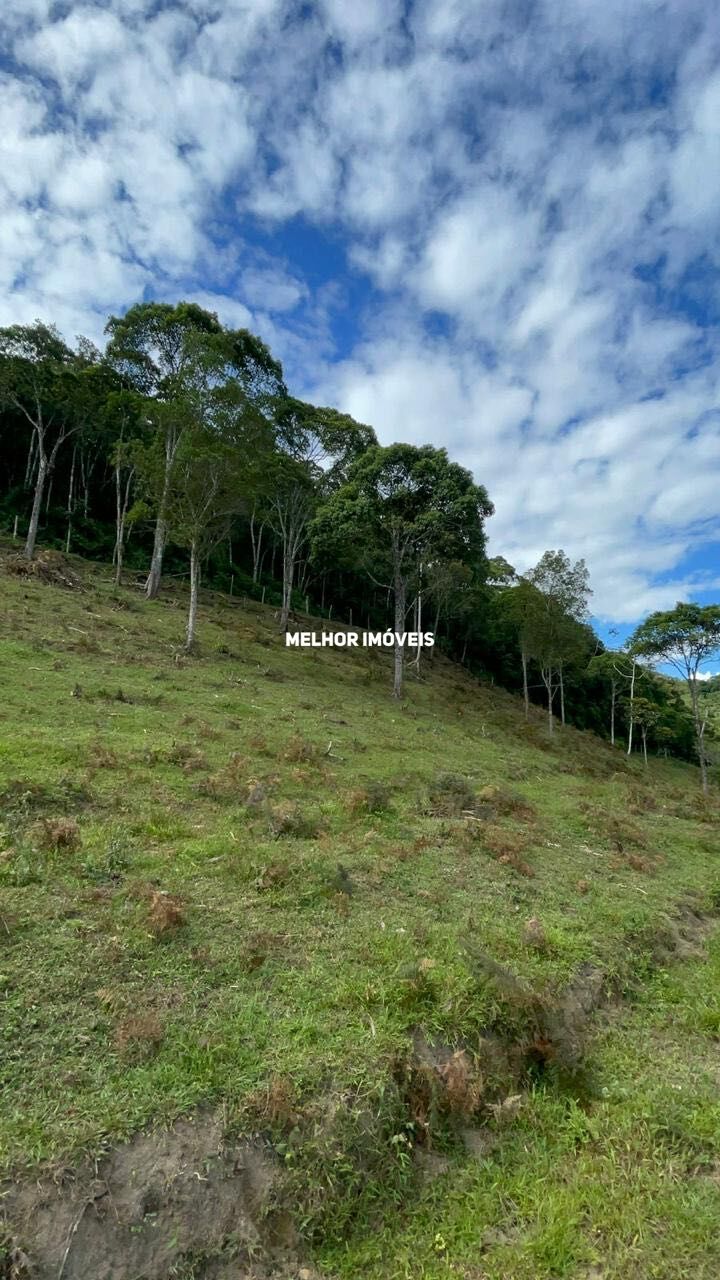 Fazenda à venda com 2 quartos, 30000m² - Foto 47