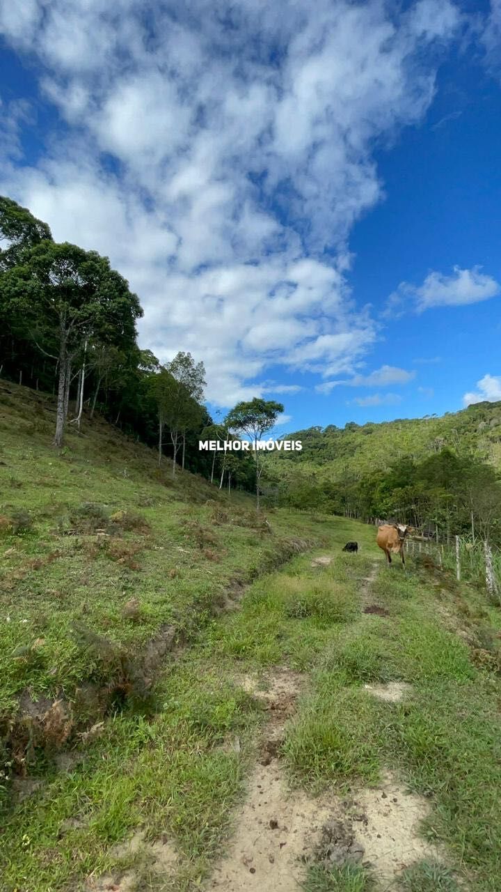 Fazenda à venda com 2 quartos, 30000m² - Foto 46