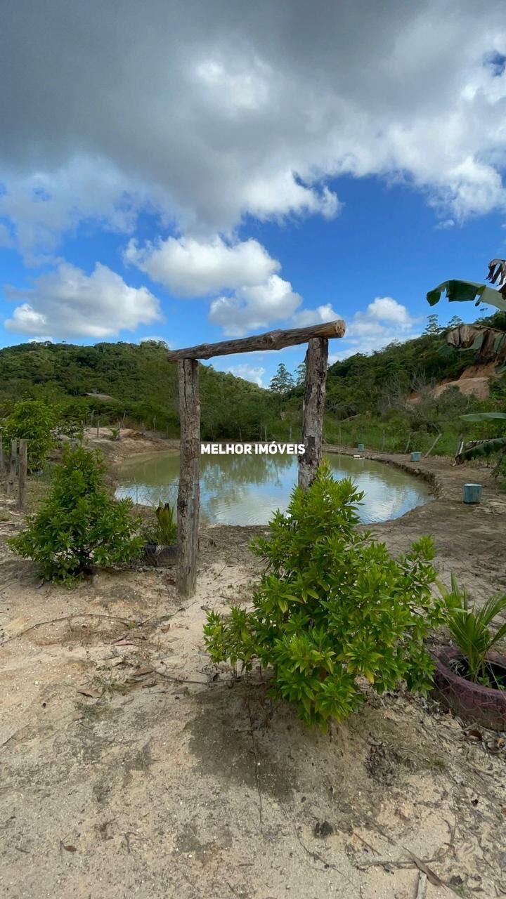 Fazenda à venda com 2 quartos, 30000m² - Foto 19