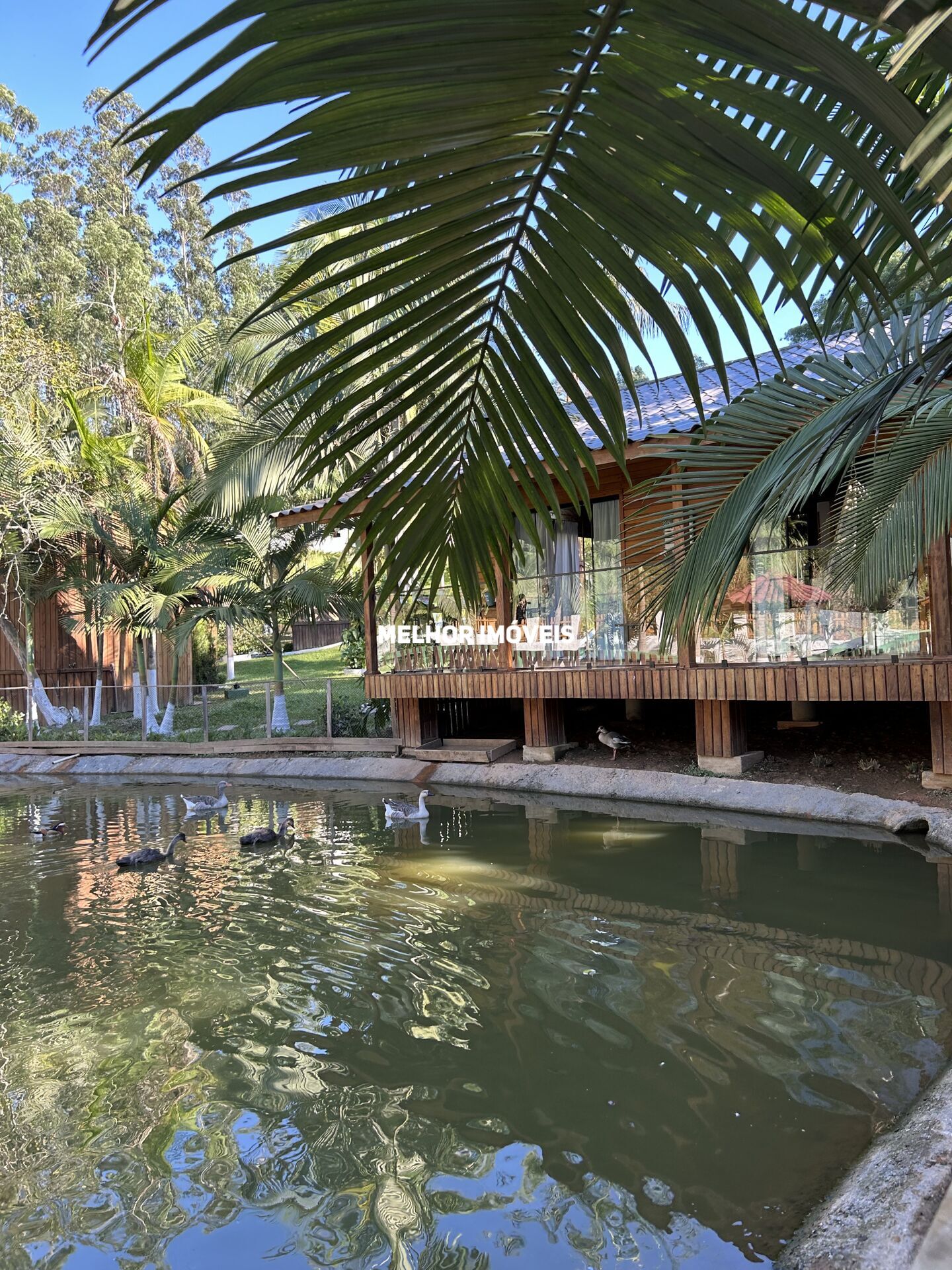 Chácara, 1 quarto, 6500 m² - Foto 16