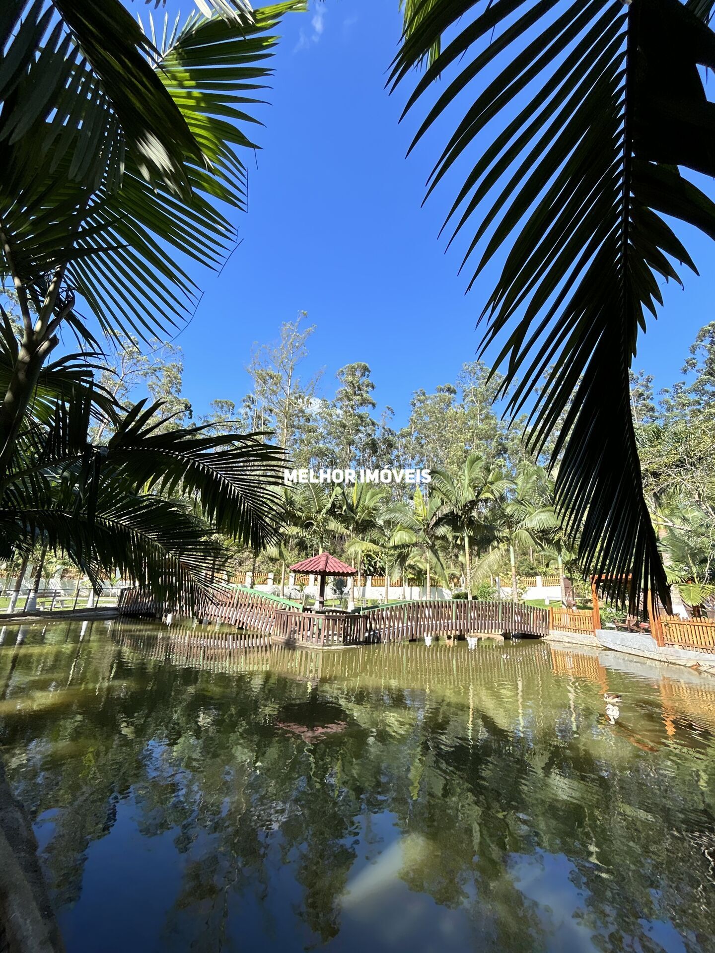 Chácara, 1 quarto, 6500 m² - Foto 29