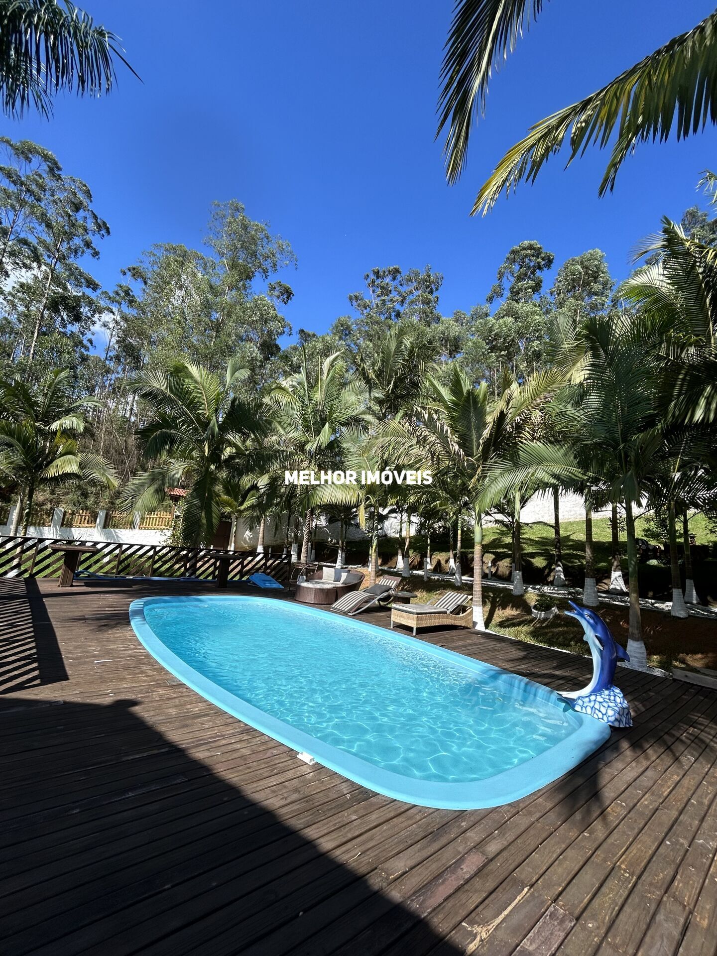 Chácara, 1 quarto, 6500 m² - Foto 10