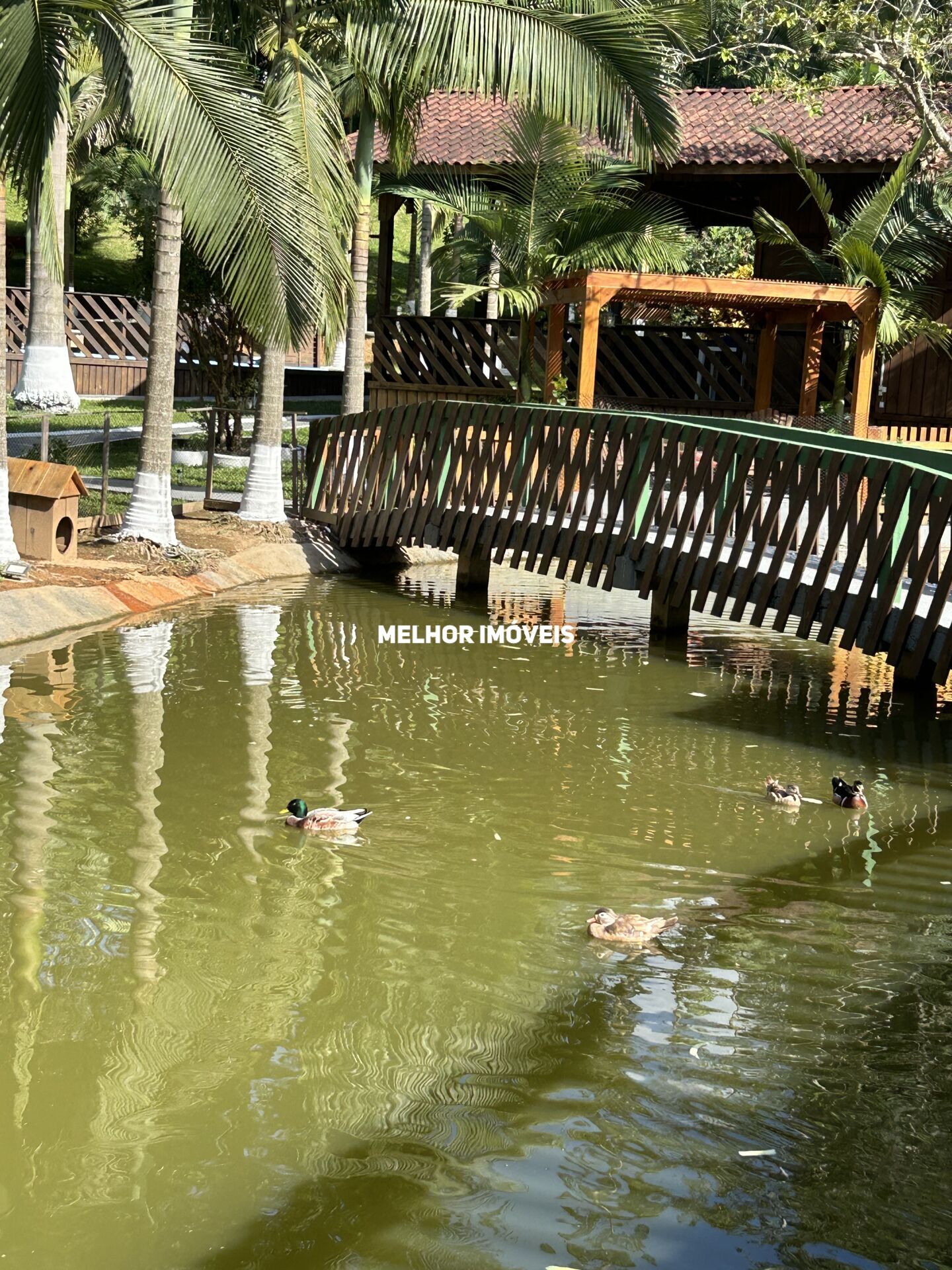 Chácara, 1 quarto, 6500 m² - Foto 24