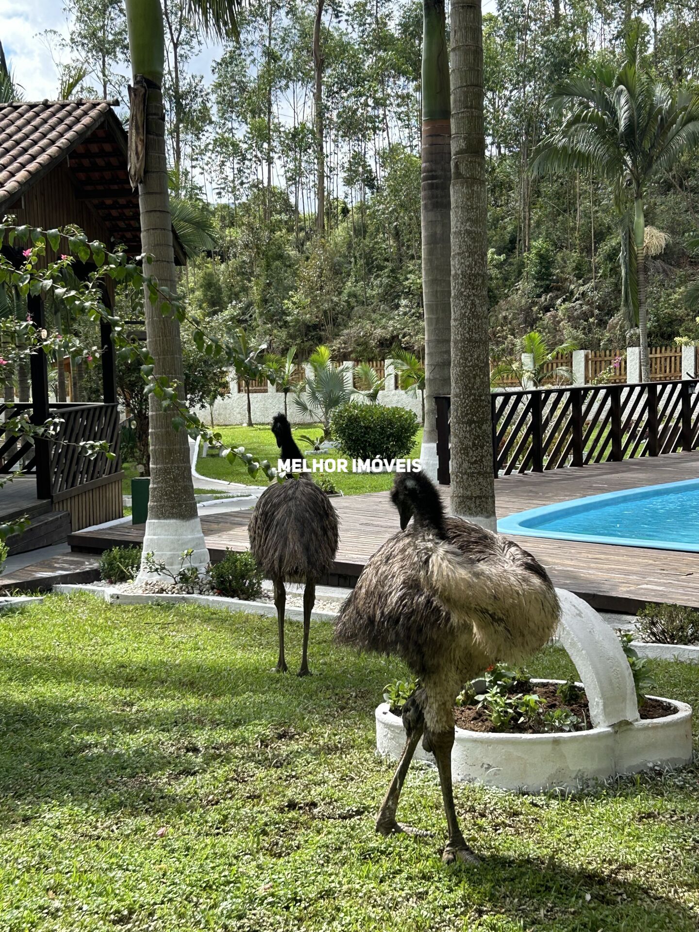 Chácara, 1 quarto, 6500 m² - Foto 27